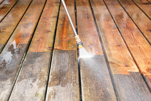 Best Roof Power Washing Services  in Ball, LA