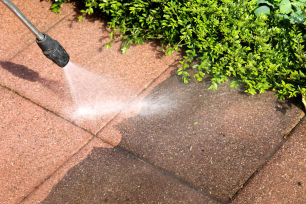 Fence Pressure Washing in Ball, LA